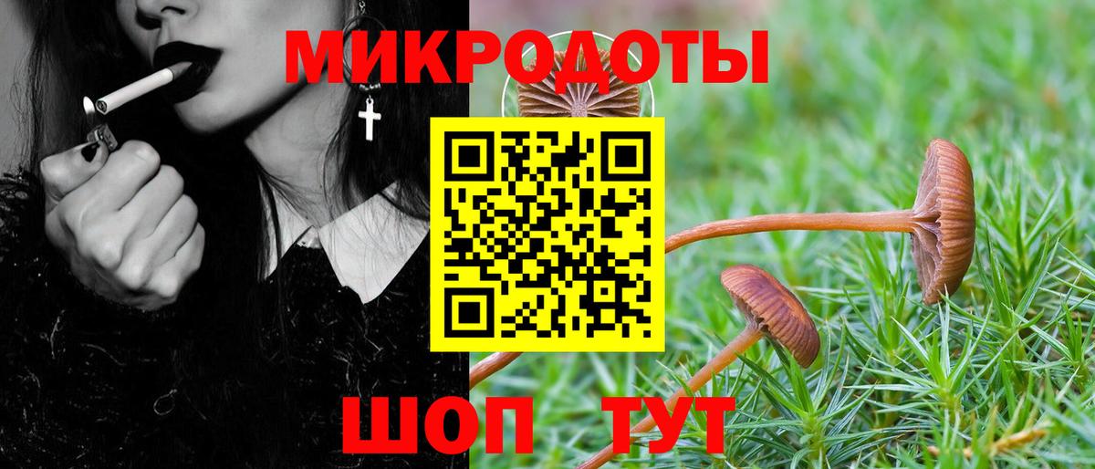 Псилоцибиновые грибы Magic Shrooms Салават